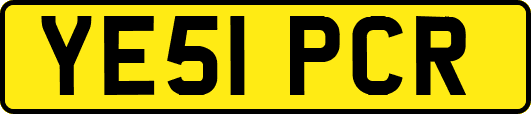 YE51PCR
