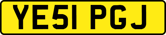 YE51PGJ