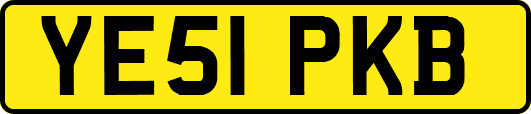 YE51PKB