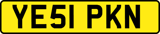 YE51PKN