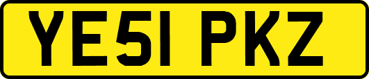 YE51PKZ