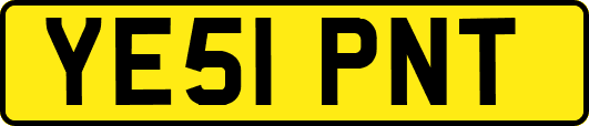 YE51PNT