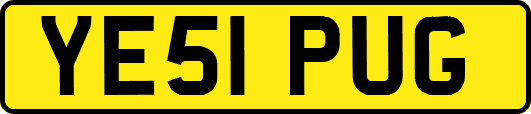 YE51PUG
