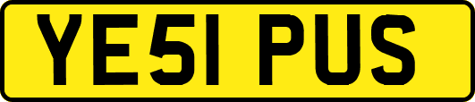 YE51PUS