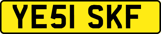 YE51SKF