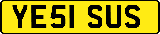 YE51SUS
