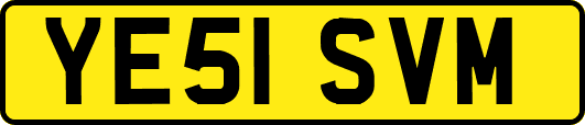 YE51SVM