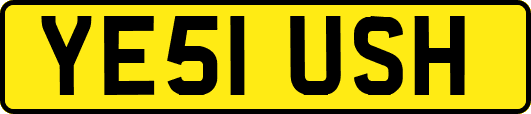 YE51USH