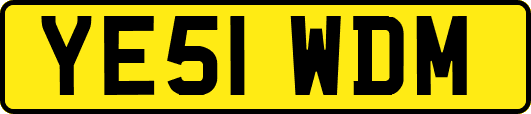 YE51WDM