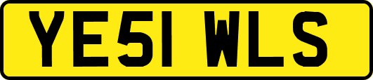 YE51WLS
