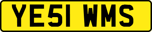 YE51WMS