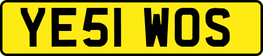 YE51WOS