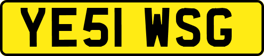 YE51WSG