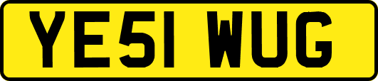 YE51WUG