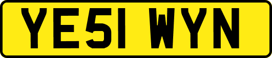 YE51WYN