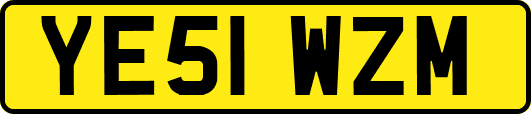 YE51WZM