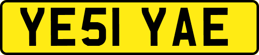 YE51YAE