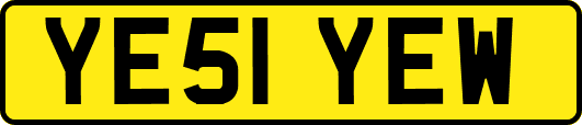 YE51YEW