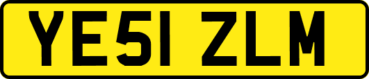 YE51ZLM
