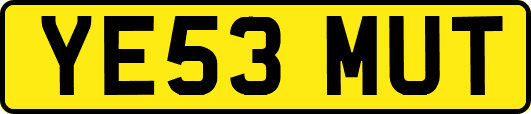YE53MUT