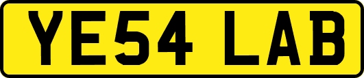 YE54LAB