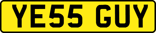 YE55GUY