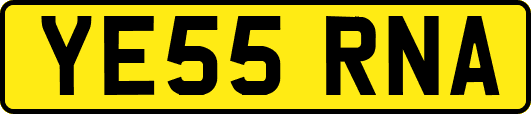 YE55RNA