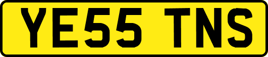 YE55TNS