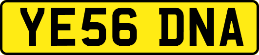 YE56DNA