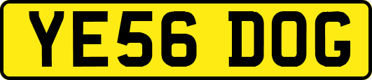 YE56DOG