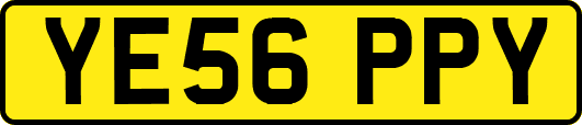 YE56PPY