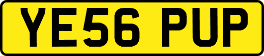 YE56PUP