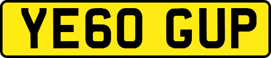 YE60GUP