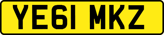 YE61MKZ