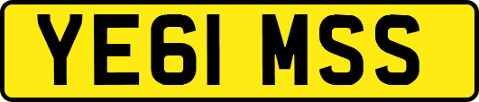 YE61MSS