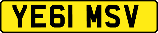 YE61MSV
