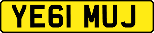 YE61MUJ