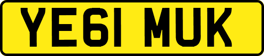 YE61MUK
