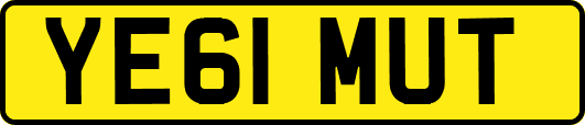 YE61MUT
