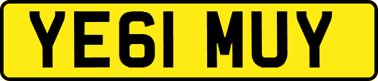 YE61MUY
