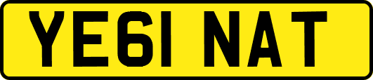 YE61NAT
