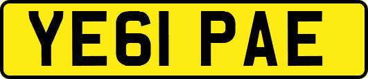YE61PAE