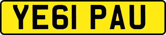 YE61PAU