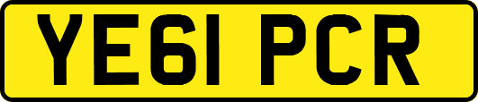 YE61PCR