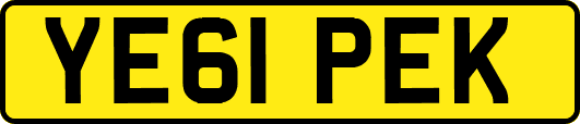 YE61PEK