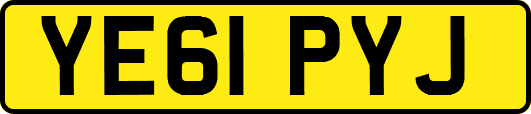 YE61PYJ