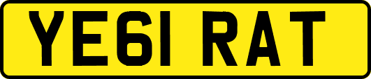 YE61RAT