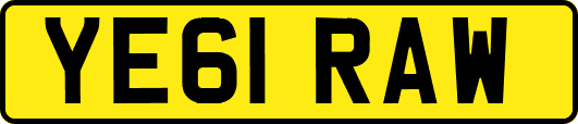 YE61RAW