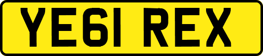 YE61REX
