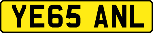YE65ANL